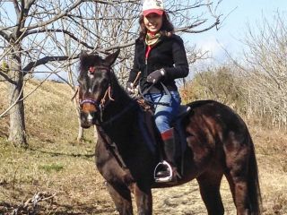 秋から冬は乗馬のオンシーズンです!