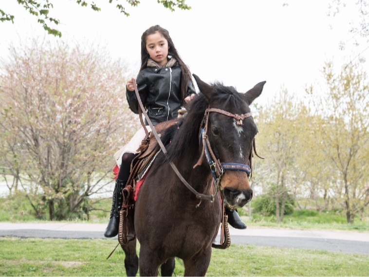 夕方はこんな写真が撮れますよ!