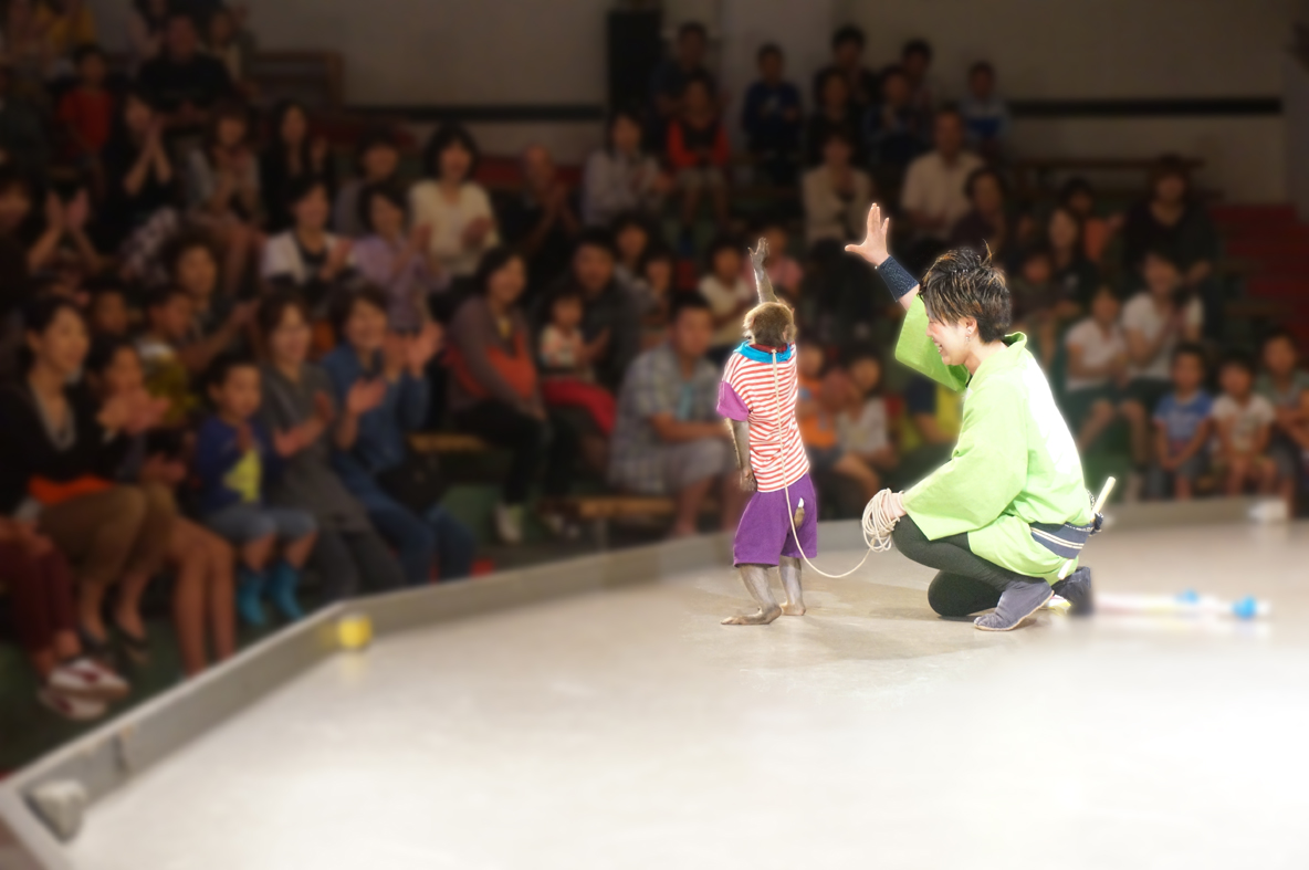 g[ł̂ŁAĂ͗A~͒g܂B܂A608ê蔫󎮂̋qȂł̂ŁAǂ̈ʒuł񂪌₷łB