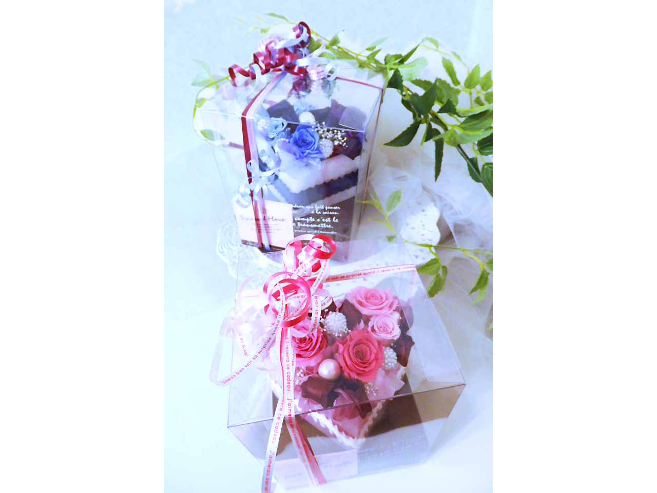 Zt@bsO͖T[rXBNA{bNXSTCY͓{550~Œǉł܂Bv[gɂœKI