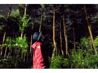 完全貸切 夜の青木ヶ原樹海サイレントハイク 富士山ネイチャーツアーズ じゃらん遊び体験 完全貸切 夜の青木ヶ原樹海サイレントハイク 富士山ネイチャーツアーズ じゃらん遊び体験