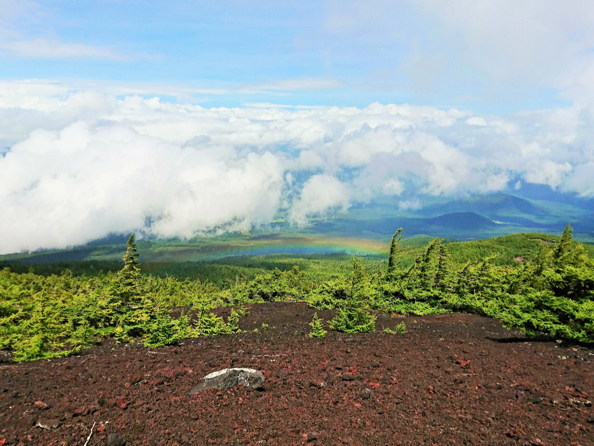 _CeXBቺɍL؃CA낦Γ邱Ƃ΂΁B