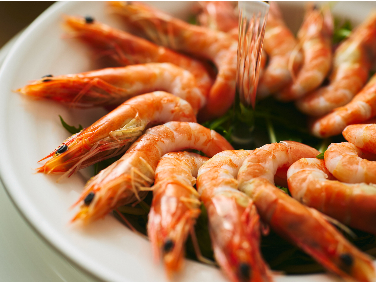 �V�������v�J�N�e��