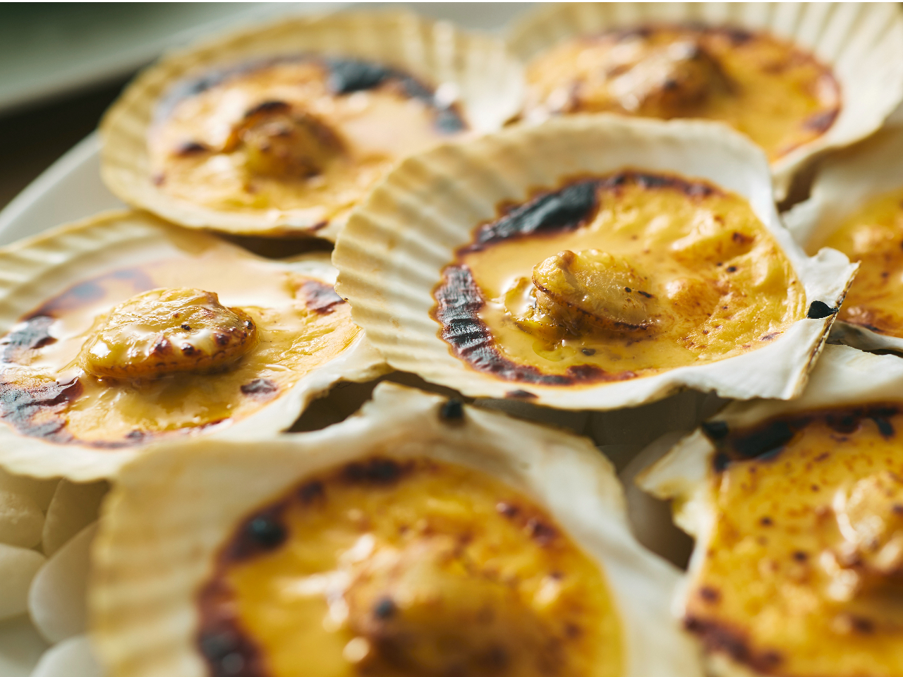 �����k�Ă��O���^��