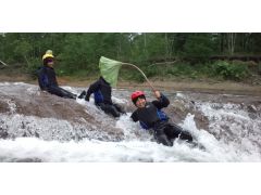 楽しみ方はいろいろです。