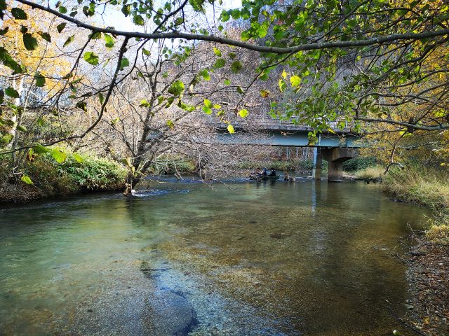 透明度の高い川です。