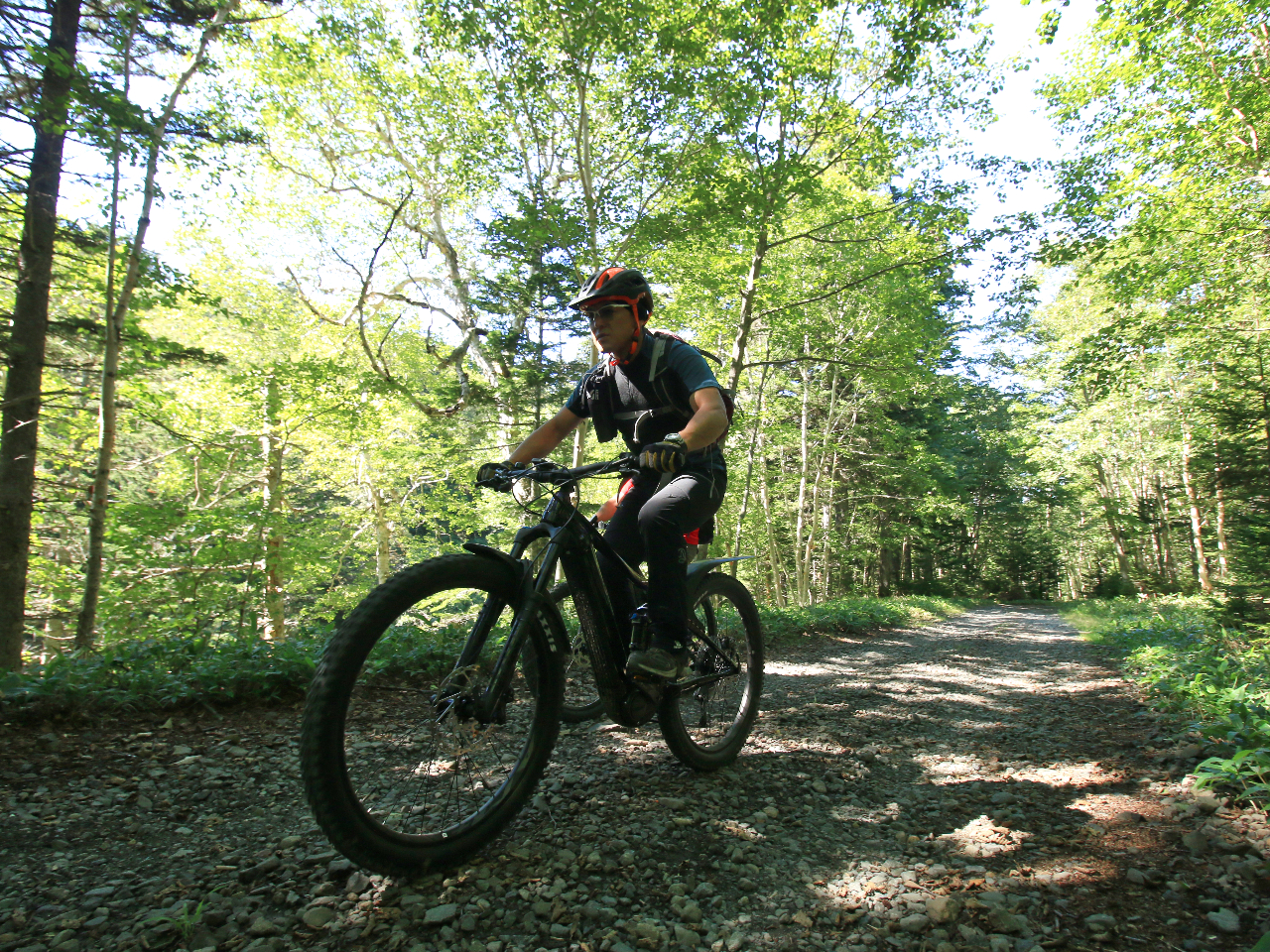 ΂̐X̒e-MTBŋ삯܂I