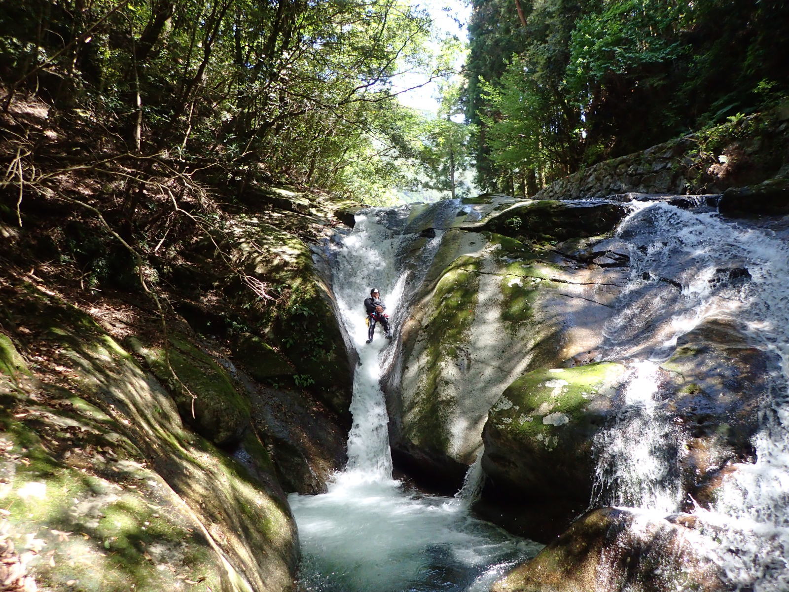 ���{���w�̓V�R�E�H�[�^�[�X���C�_�[�փ`�������W��