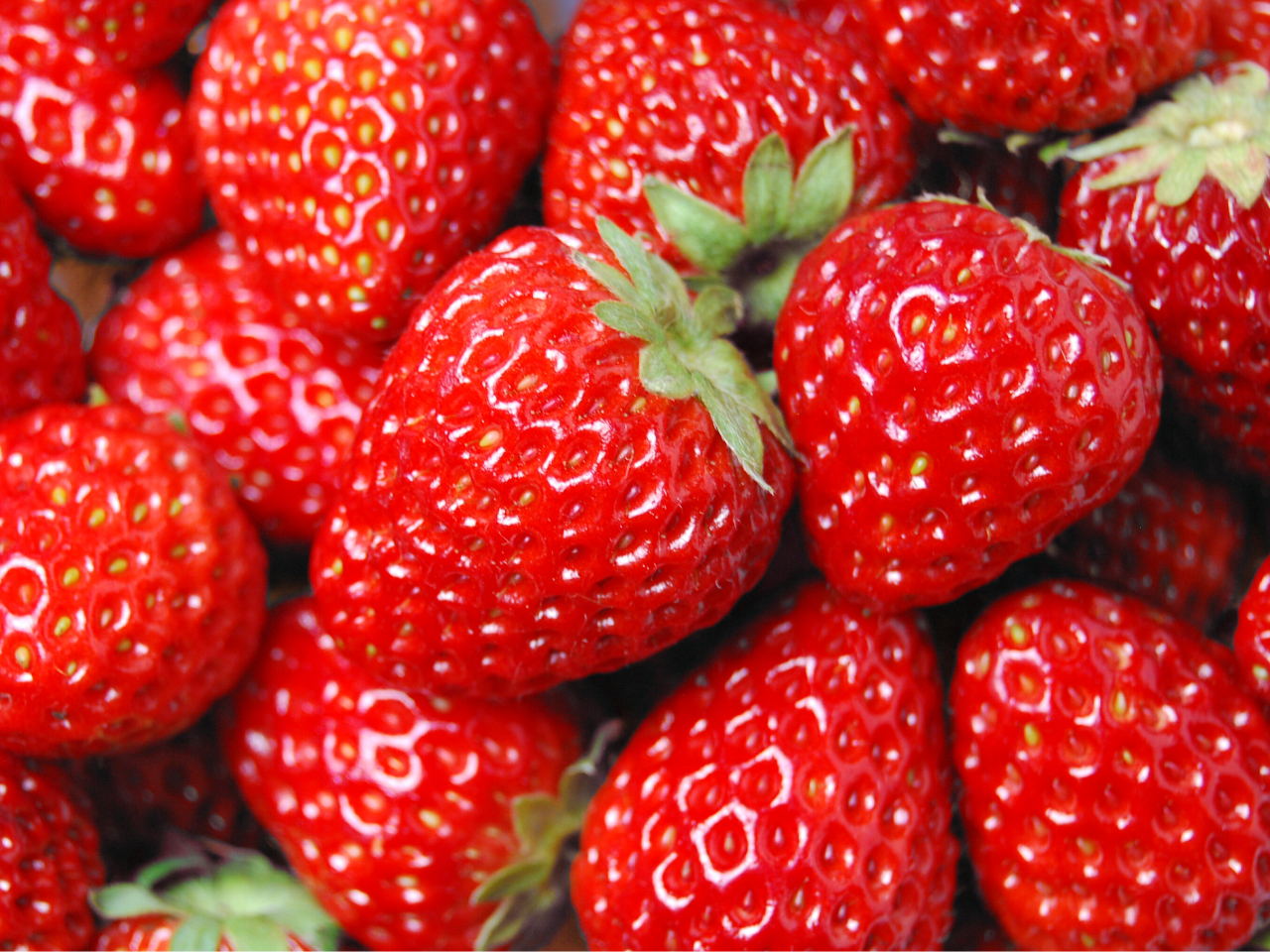 y` V[Yit[ctFAz tFXeBo XyVCxgƂāuHוvJÁB