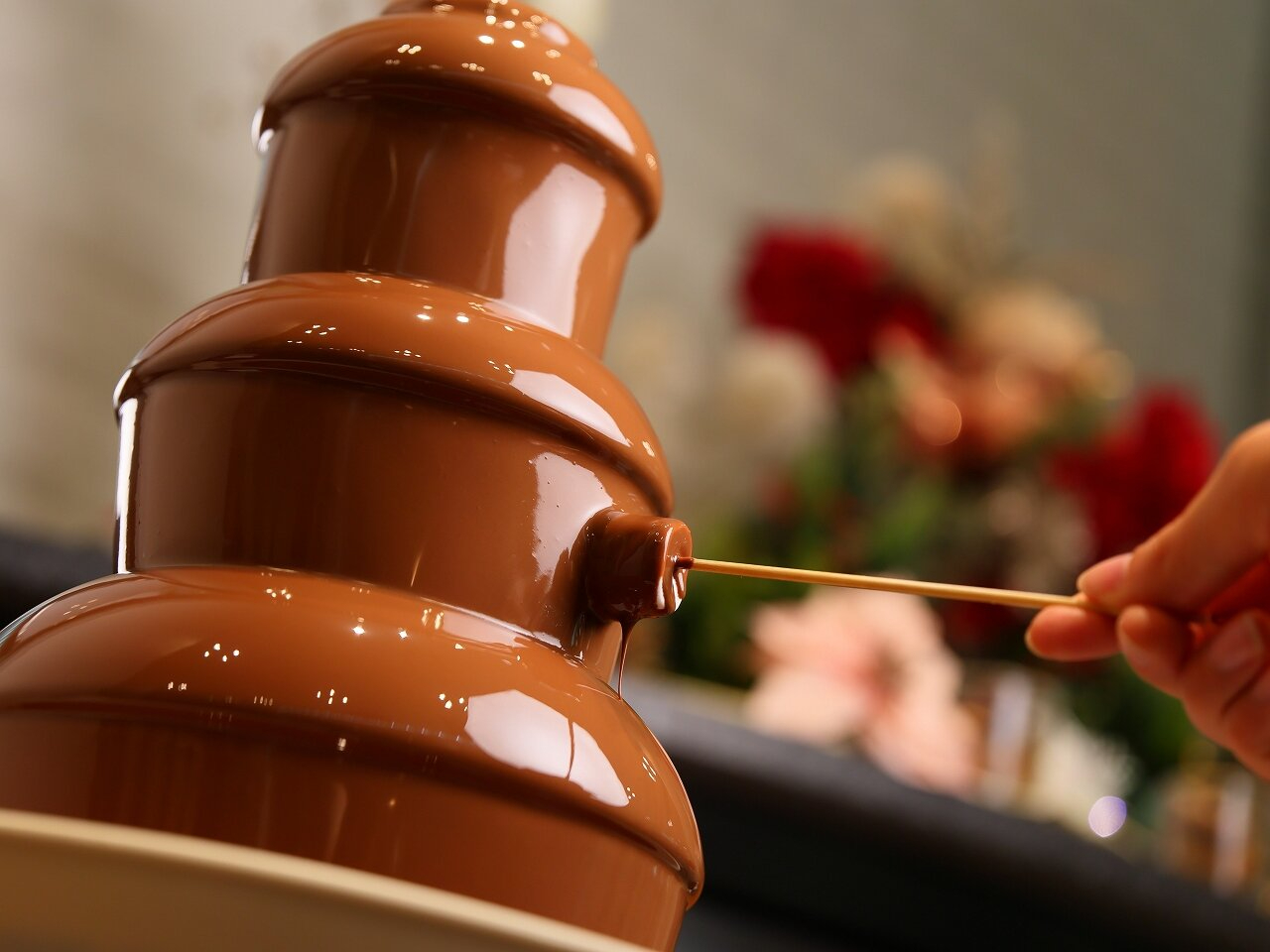 �y�f�U�[�g�R�[�i�[�z �`���R���[�g�t�@�E���e��