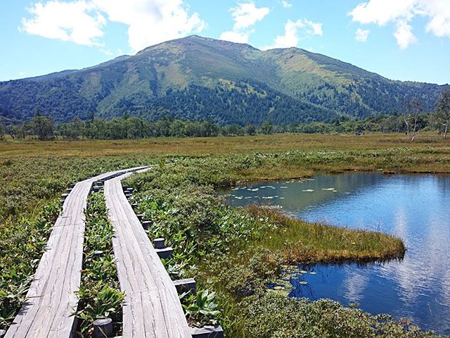 草紅葉の尾瀬ヶ原ハイキング 片品山岳ガイド協会 じゃらん遊び体験 草紅葉の尾瀬ヶ原ハイキング 片品山岳ガイド協会 じゃらん遊び体験