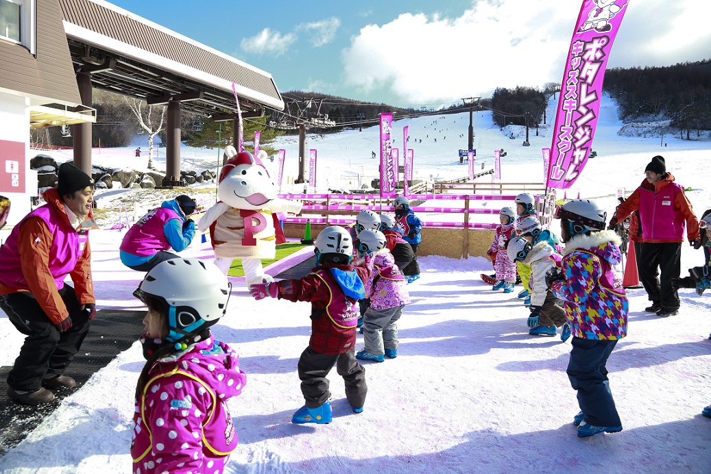 �|�^�����W���[�Ƒ̑�