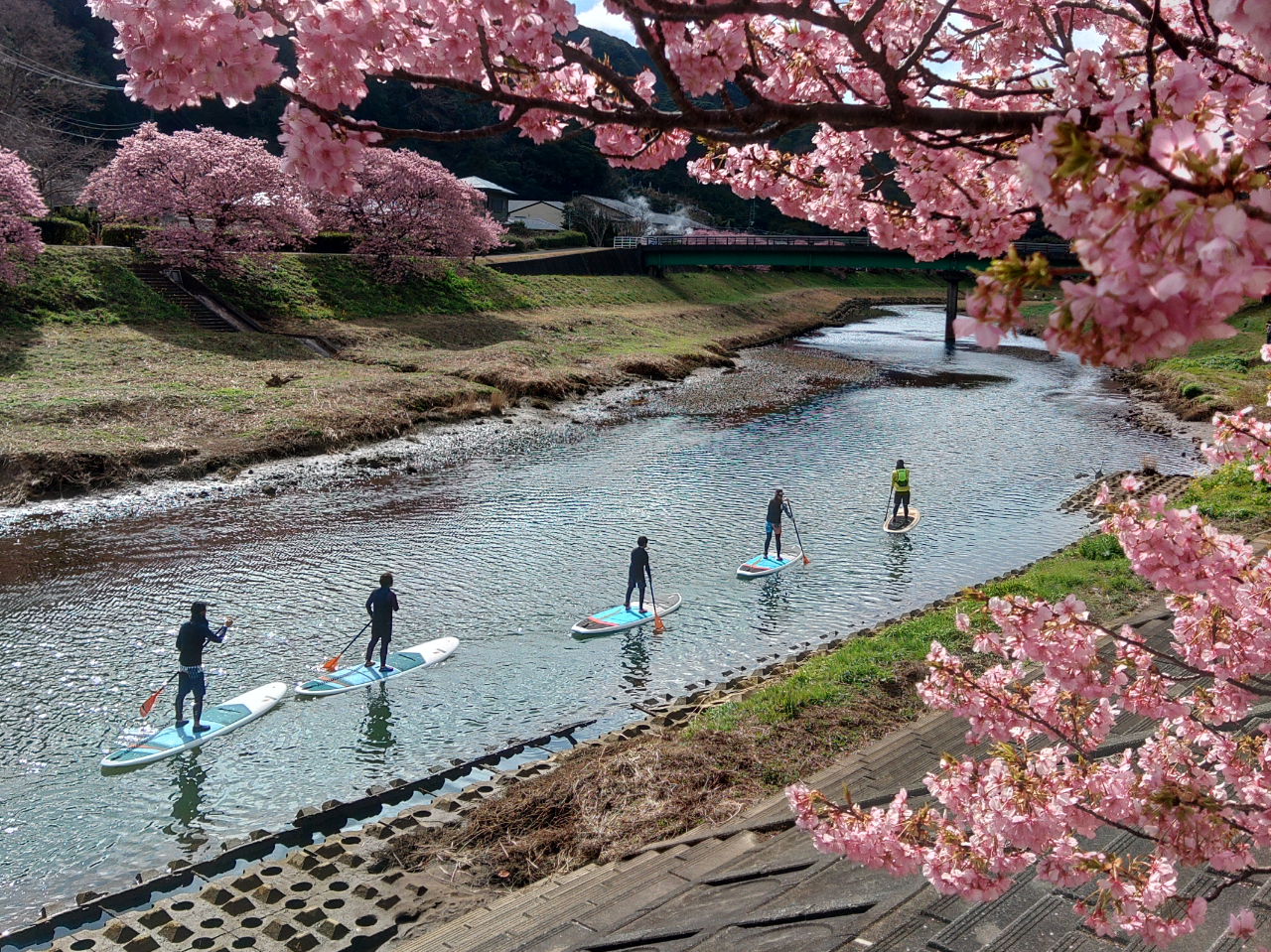 �����^��SUP�͕��L�ȕ����g�p���܂�