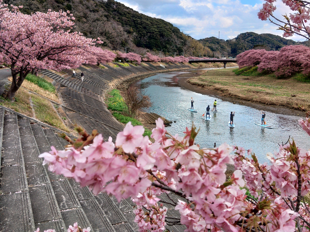 �㗤���邱�Ƃ��\�ł�