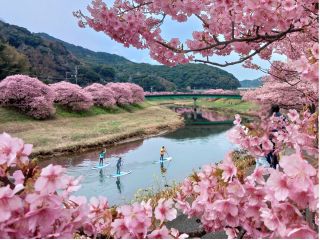 体験のSUP板は幅広は物を使います