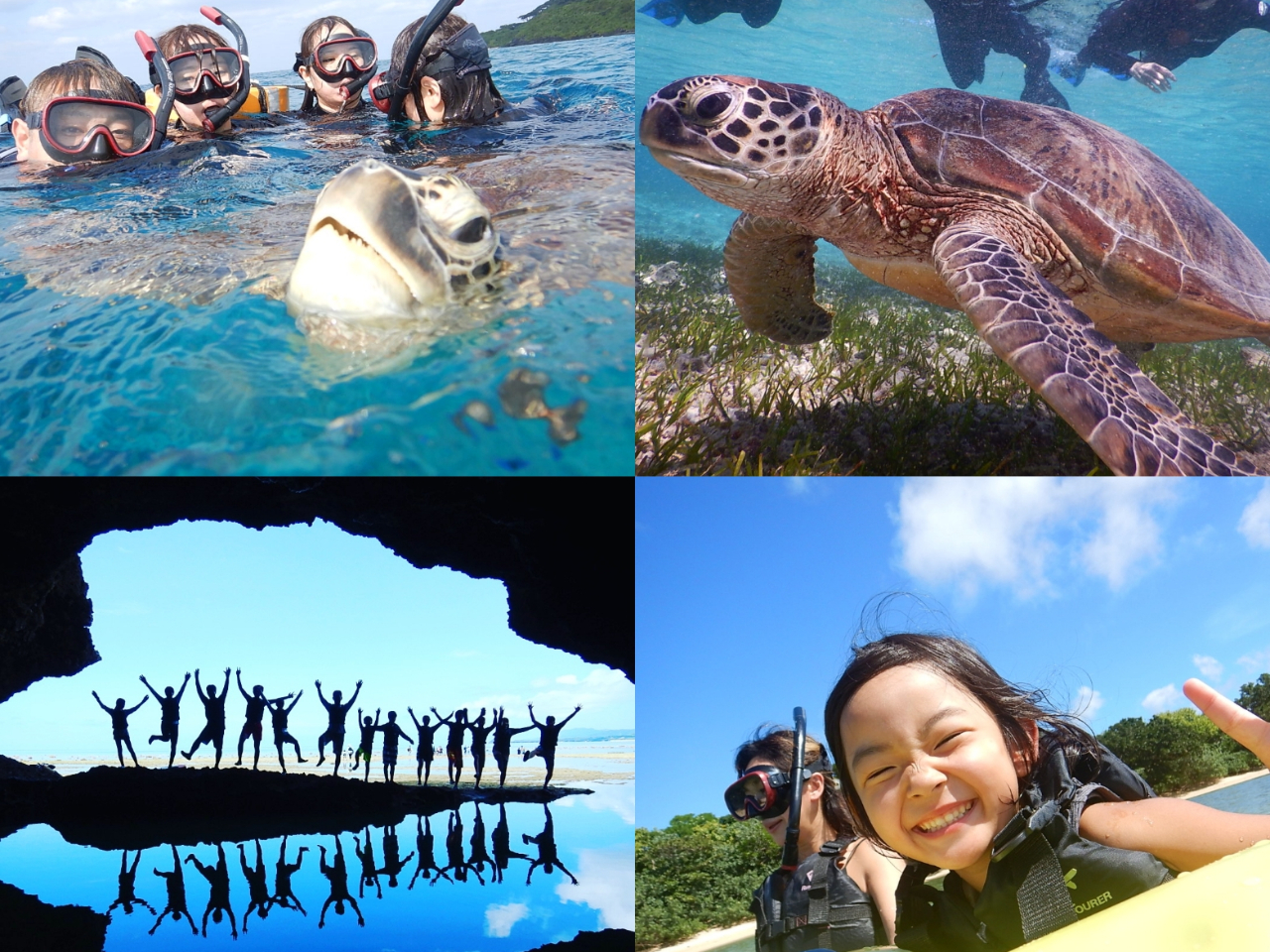 運が良ければ、亀ちゃんの息継ぎまで……