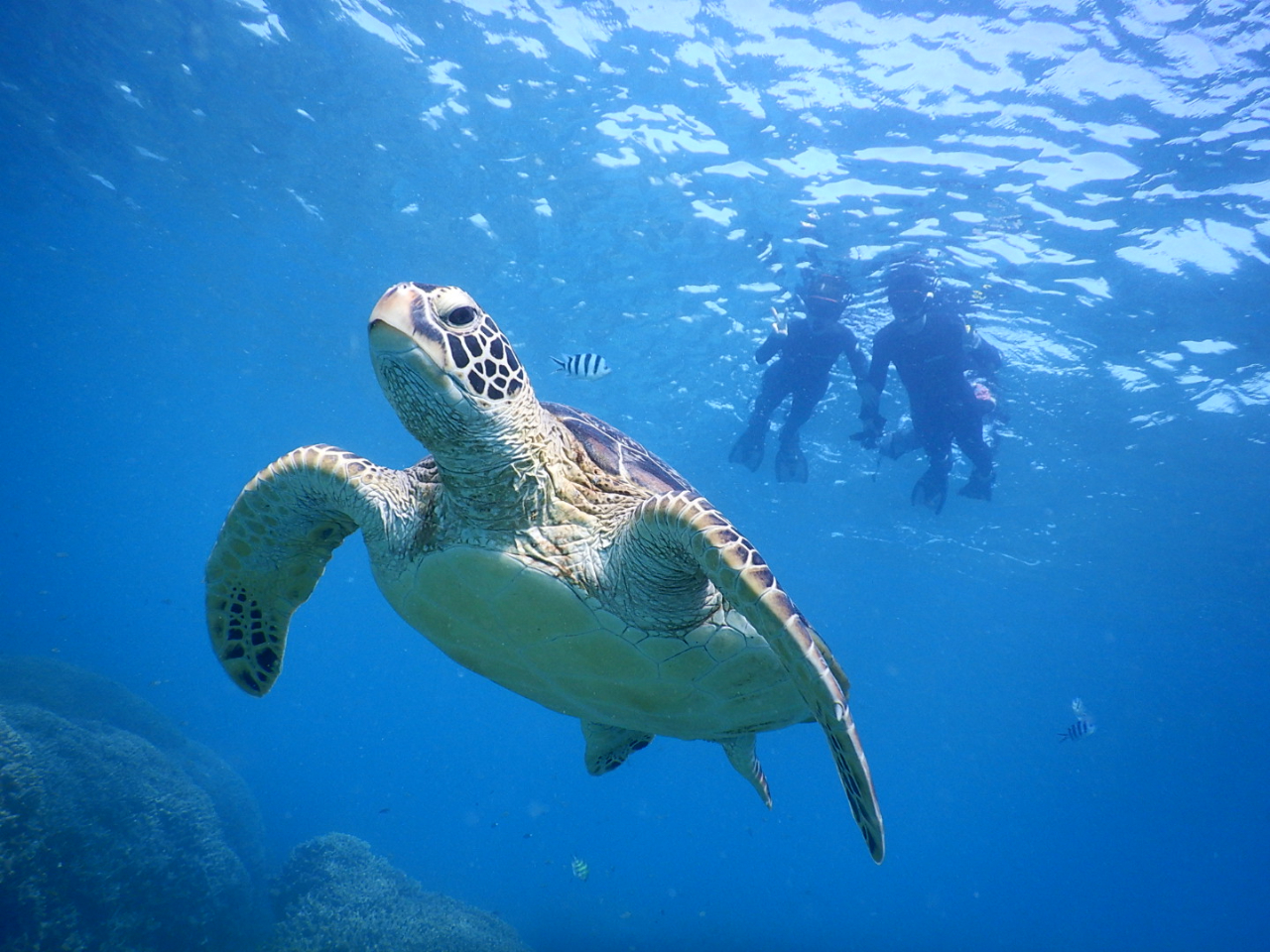 下からのアングルも最高!!!