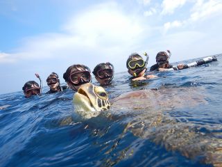 タイミングが合えば亀吉くんと泳げちゃう!