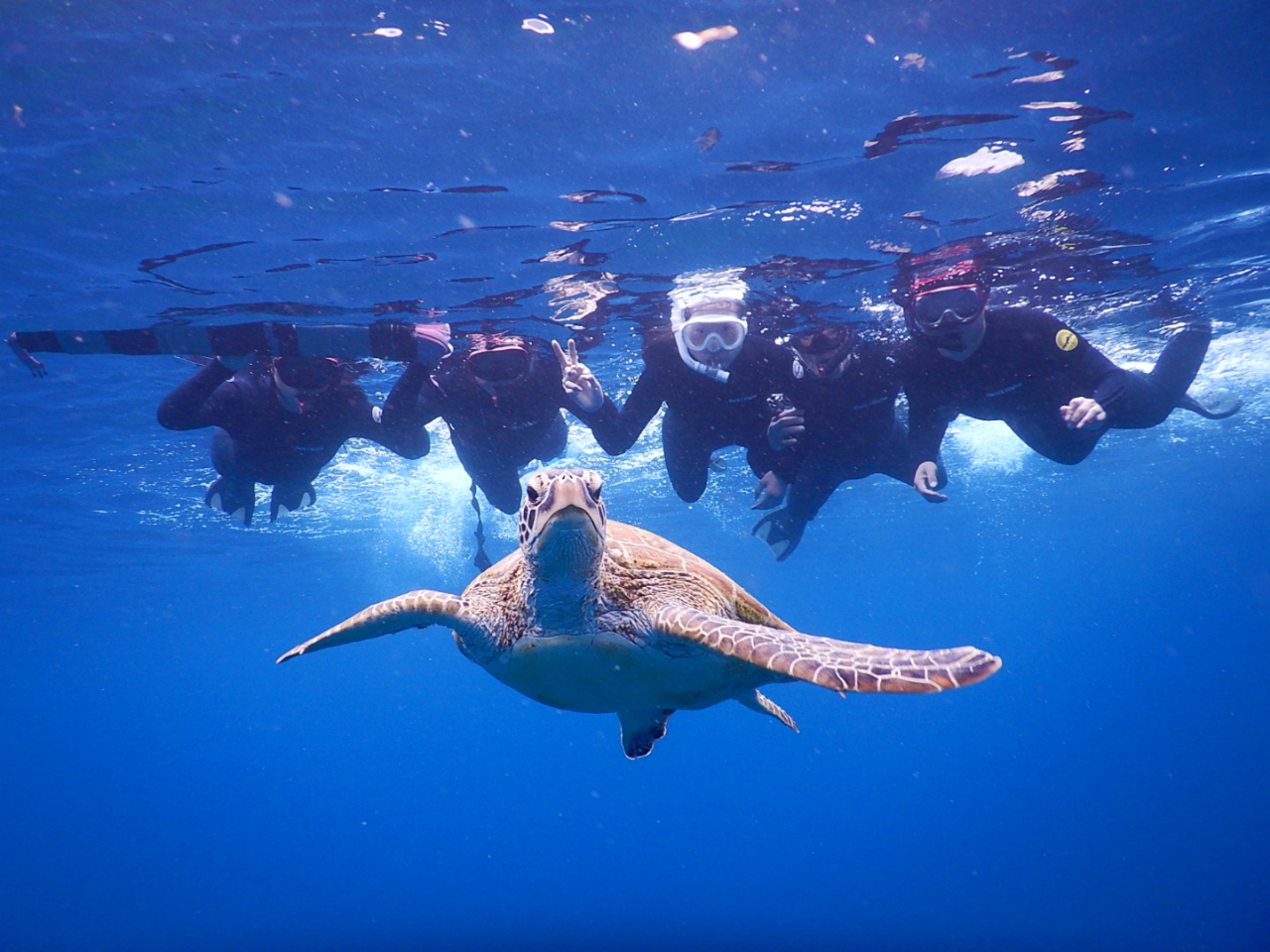 ��@������̫��ݽ���̋T�g����I