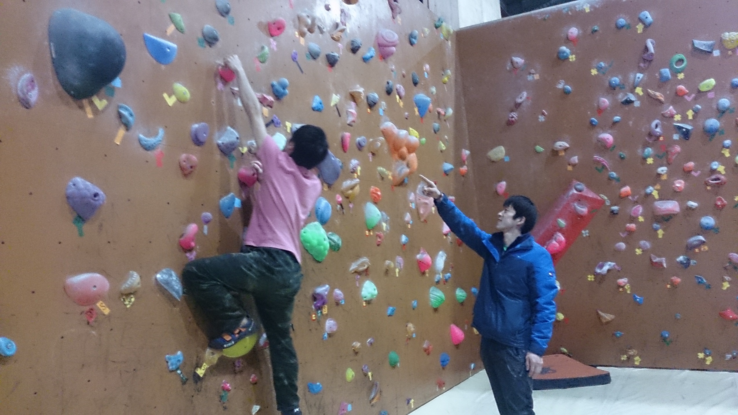 uKI͎RɓoĂ܂̃X^btKAhoCX܂̂ŁACyɊy̌B