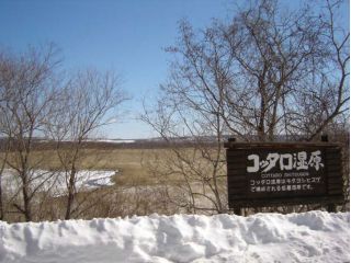 雪景色のコッタロ湿原