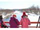 タンチョウのねぐら音羽橋