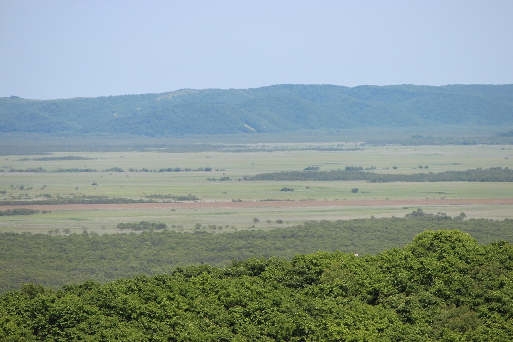 釧路湿原 北斗展望台(西側)