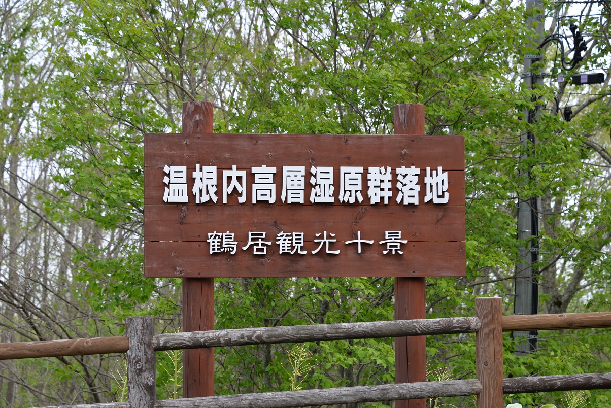 温根内高層湿原群落地