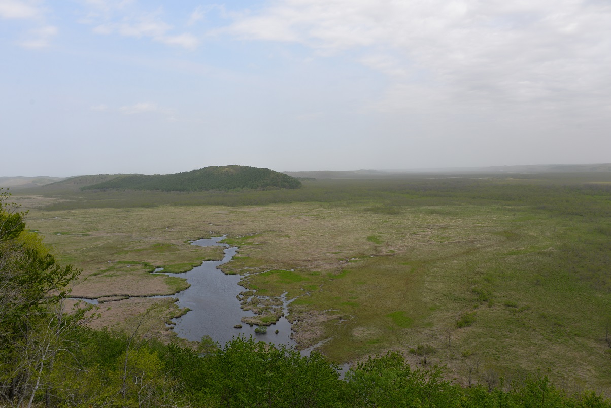 コッタロ湿原