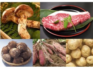 静岡発 日帰りバスツアー Newデッラクスバスで行く 本格 鉄板焼コースランチと紅葉の谷汲山華厳寺 食べ歩き アンビ ア ツアーズ じゃらん遊び体験 静岡発 日帰りバスツアー Newデッラクスバスで行く 本格 鉄板焼コースランチと紅葉の谷汲山華厳寺 食べ歩き アンビ ア ツアーズ じゃらん遊び体験