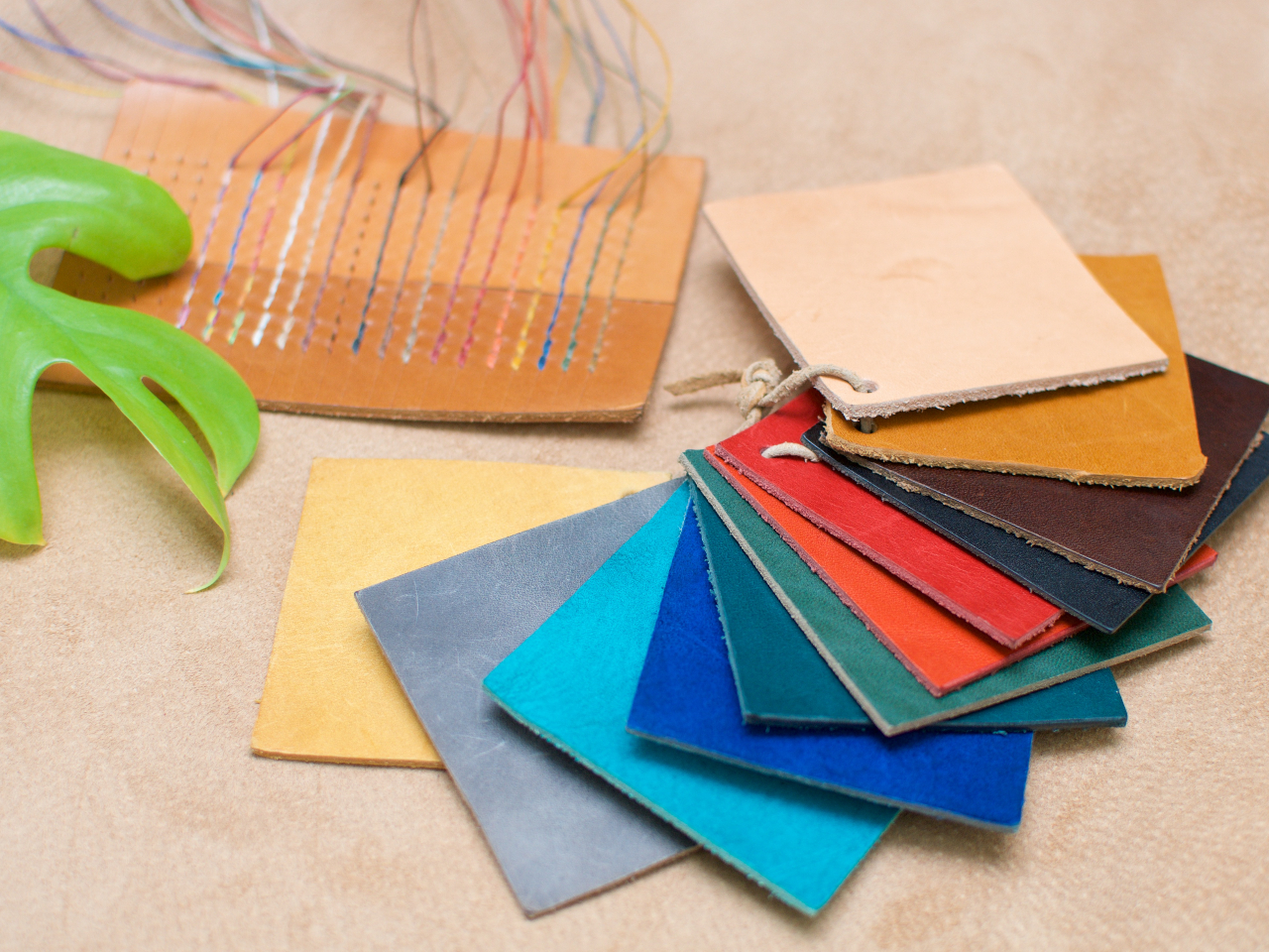 ݌ɂ̒炨DȐF̊vƎIŐ삵Ă܂B