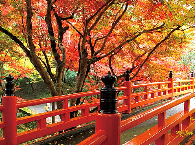養父神社