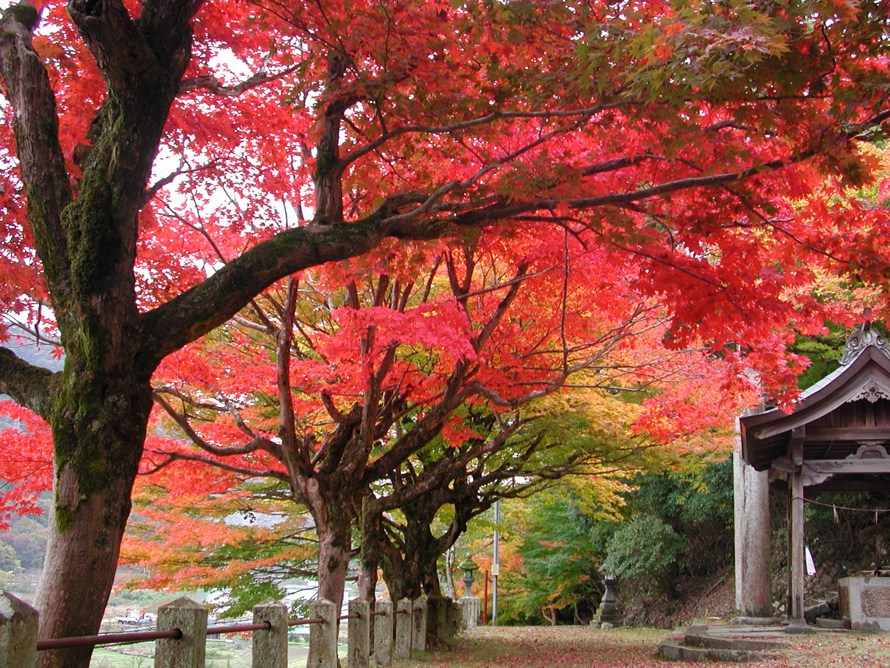 養父神社