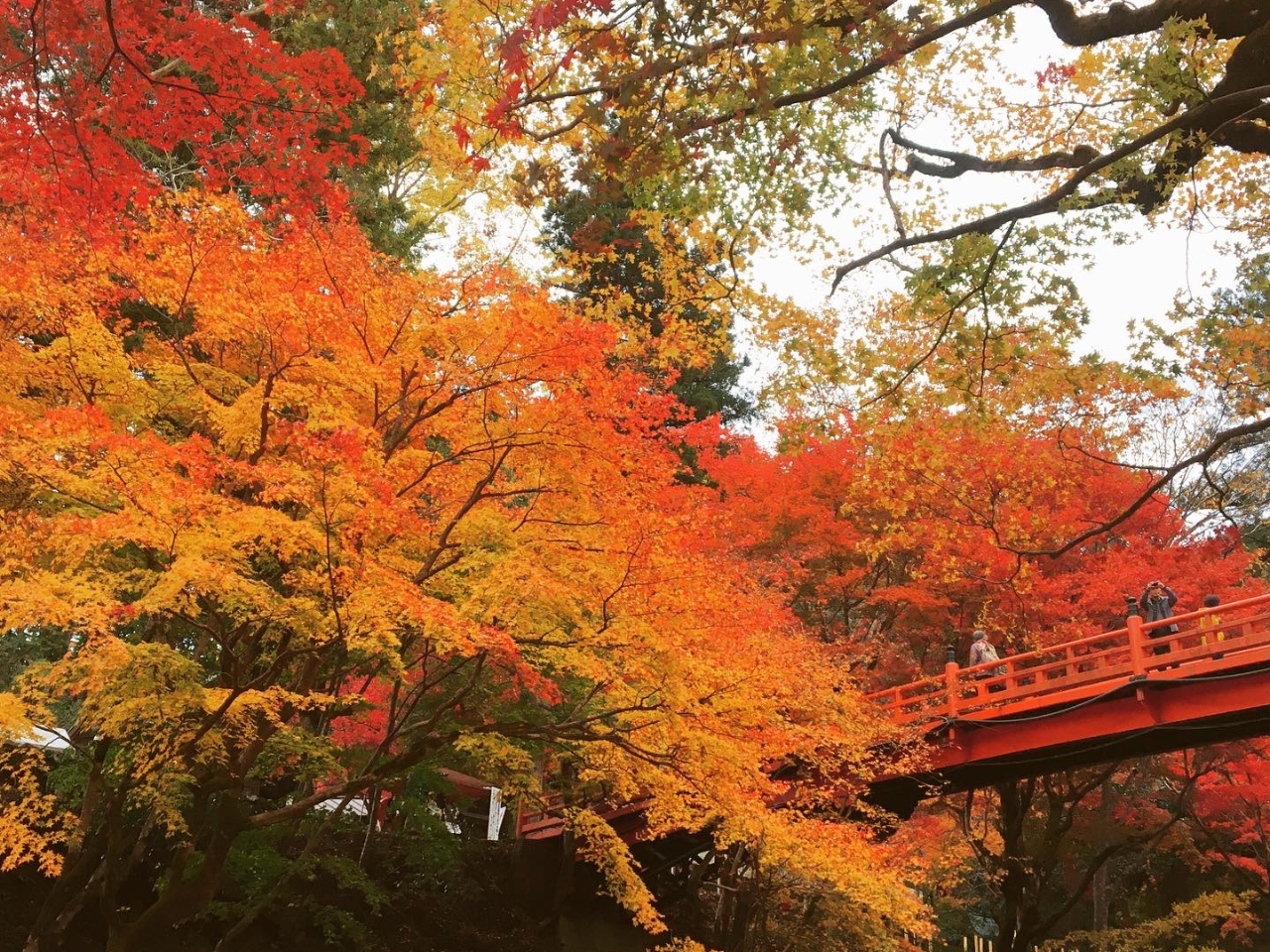 養父神社