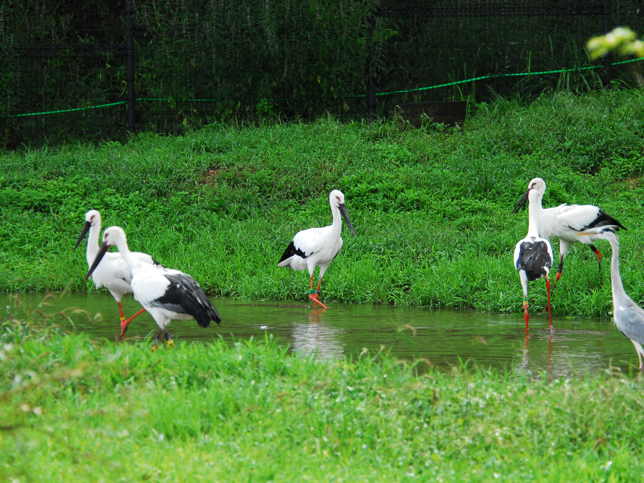 �R�E�m�g��������