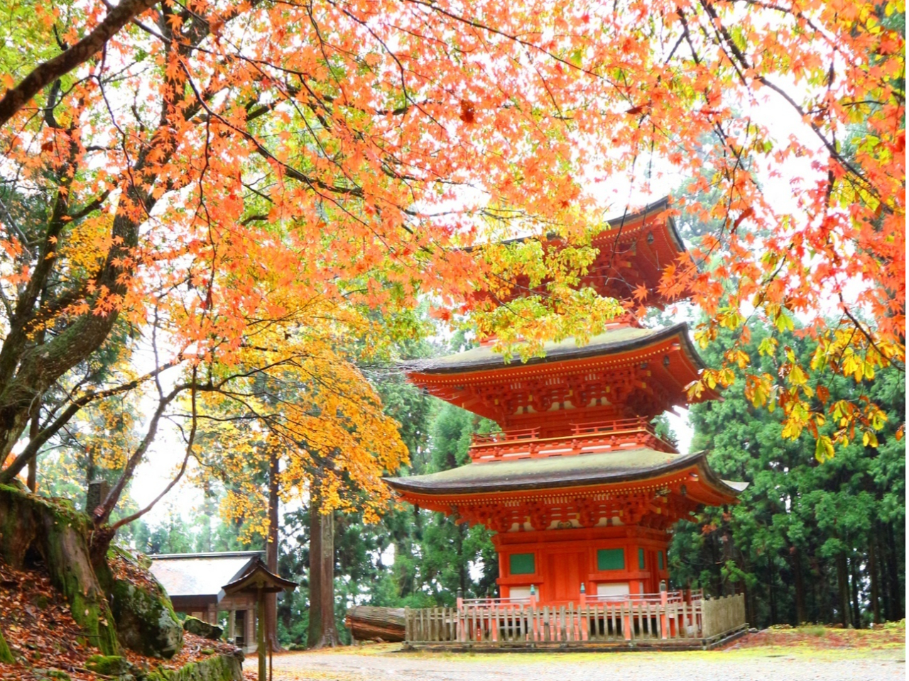 �����_�ЎO�d���@�i�ʐ^�񋟁F�x�c�L�炳�܁j