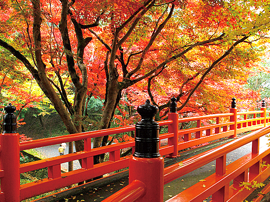 �{���_��