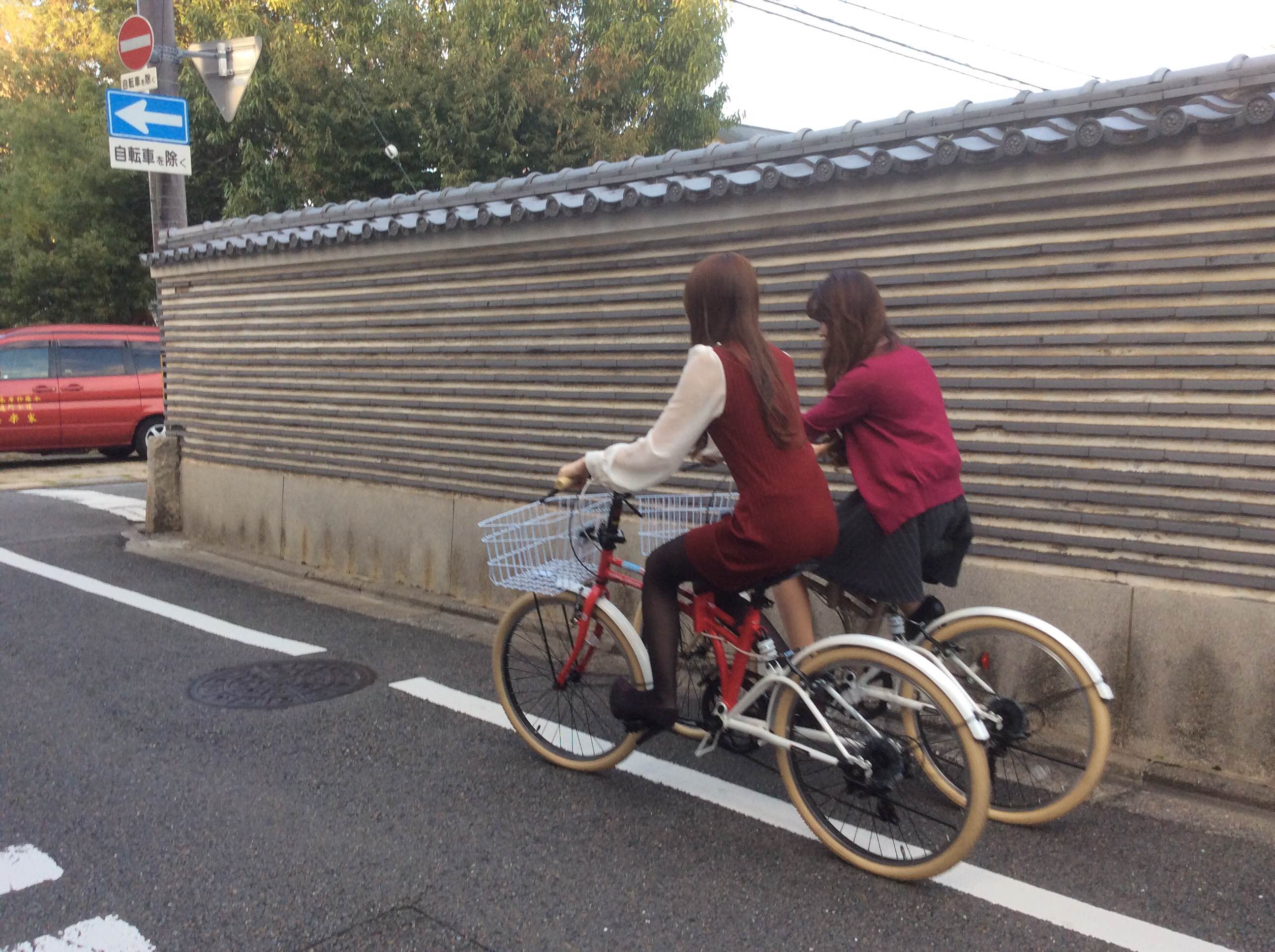 電動自転車 /京都市内の方配達可