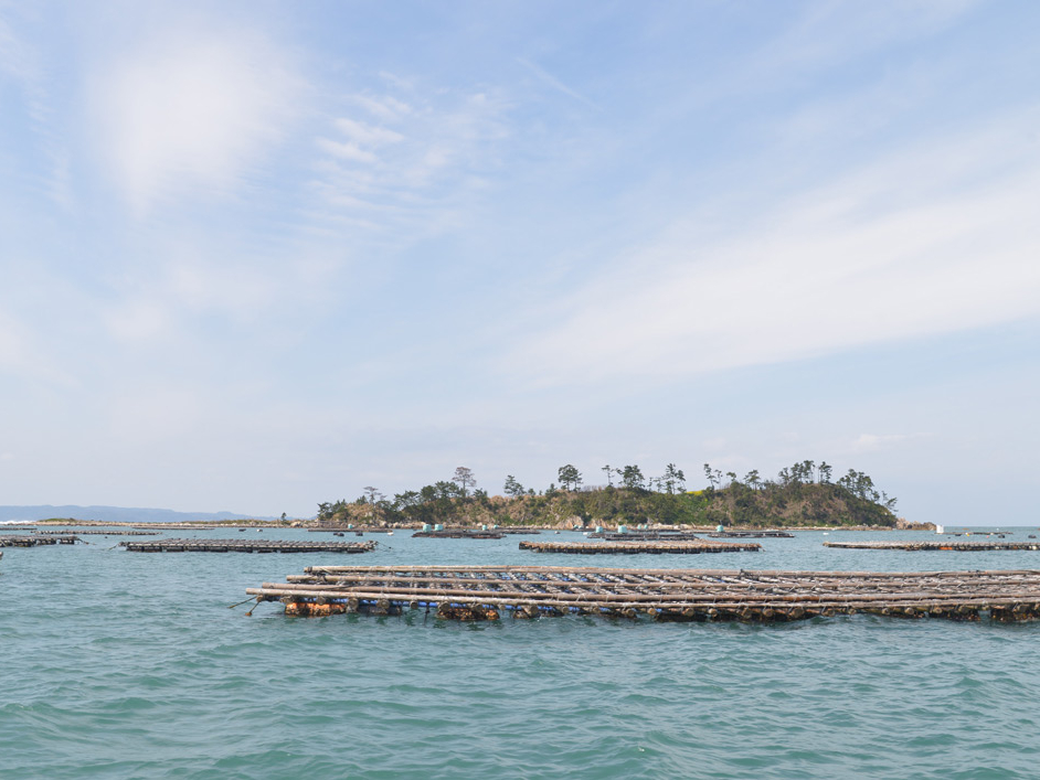 ☆玄界灘に育まれた福吉の牡蠣☆山や森林から豊富な栄養分が流れ込む目前の海で養殖された一粒かきは潮の風味があり味が濃いと人気です♪