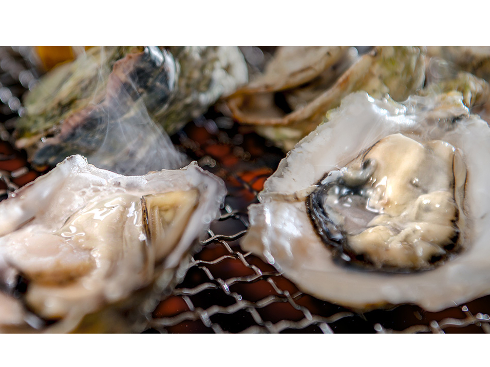 糸島市二丈の福吉漁港自慢の「一粒カキ」 ☆