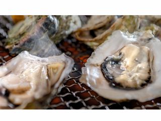 糸島市二丈の福吉漁港自慢の「一粒カキ」 ☆