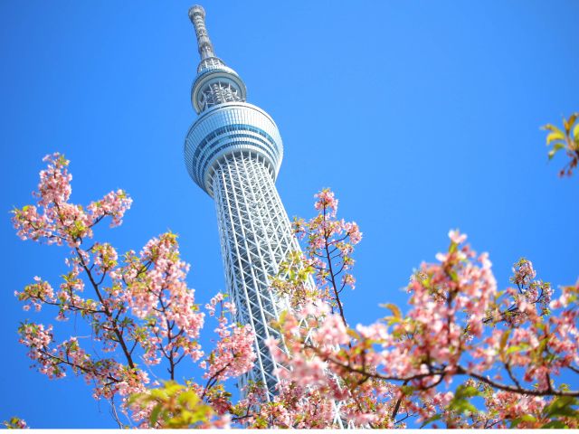 観光タクシー 1番人気 皇居 浅草など超定番 東京周遊4時間コース すばるトラベル株式会社 じゃらん遊び体験 観光タクシー 1番人気 皇居 浅草など超定番 東京周遊4時間コース すばるトラベル株式会社 じゃらん遊び体験