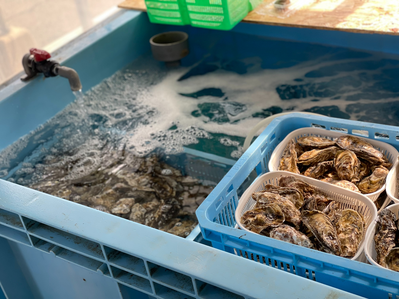 ےnCŎEہEꂽЂ낿JL͊Öył