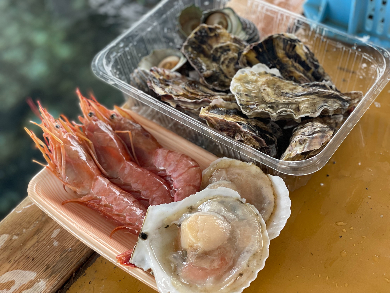 BZbg͂(d󋵂ɂeςꍇ܂j