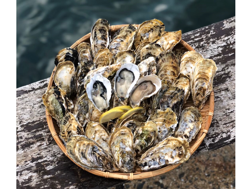 とにかく【牡蠣】が好き!食べたい!という方におすすめコース!
