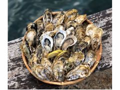 とにかく【牡蠣】が好き!食べたい!という方におすすめコース!