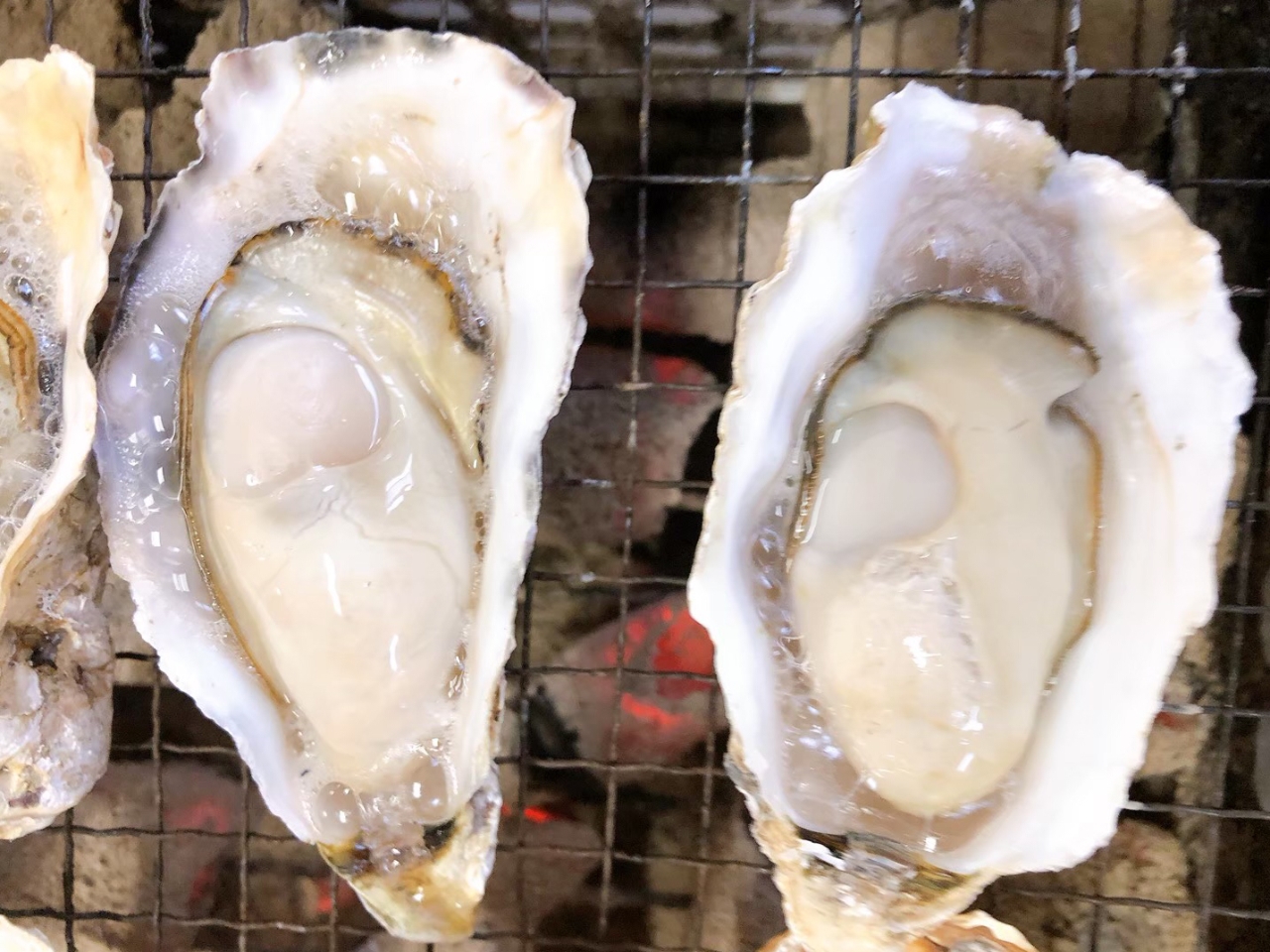 ぷりぷりでクリーミーな牡蠣をご用意しています!