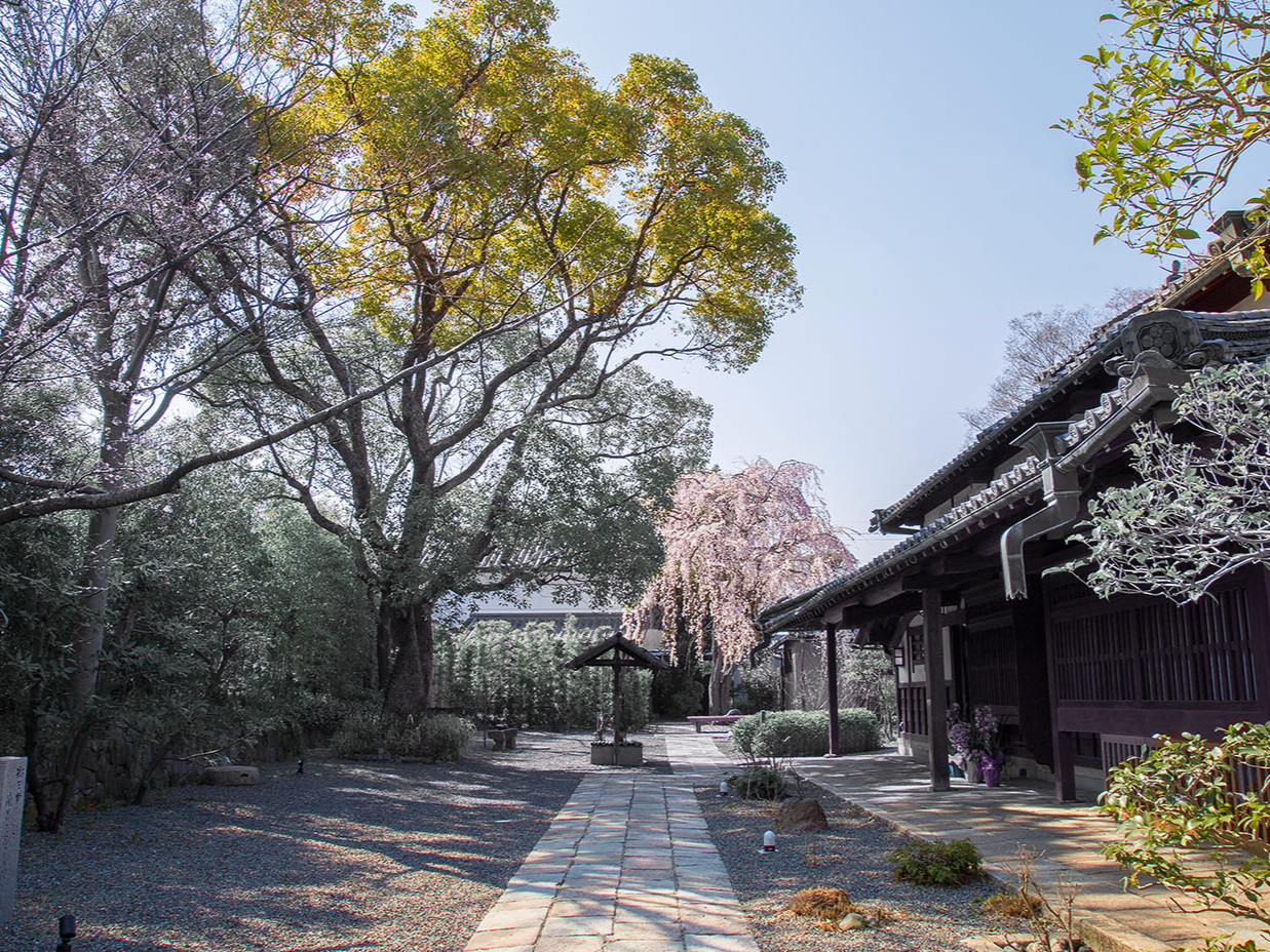 ���Ԃ��Ȃ̋� TOMOMTO