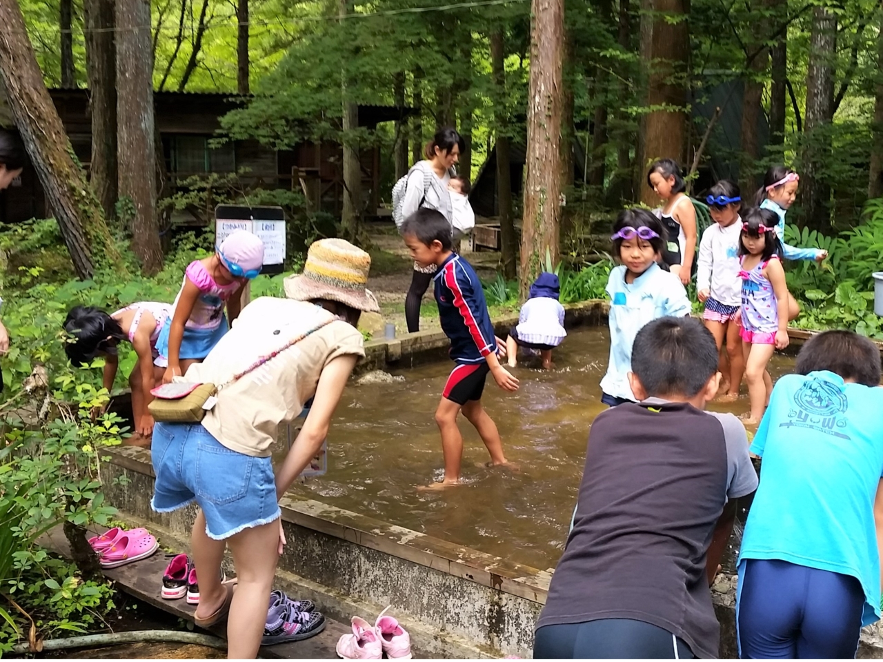 ̂ݎ̌̏or@߂܂BBQŏĂĐHׂ悤I