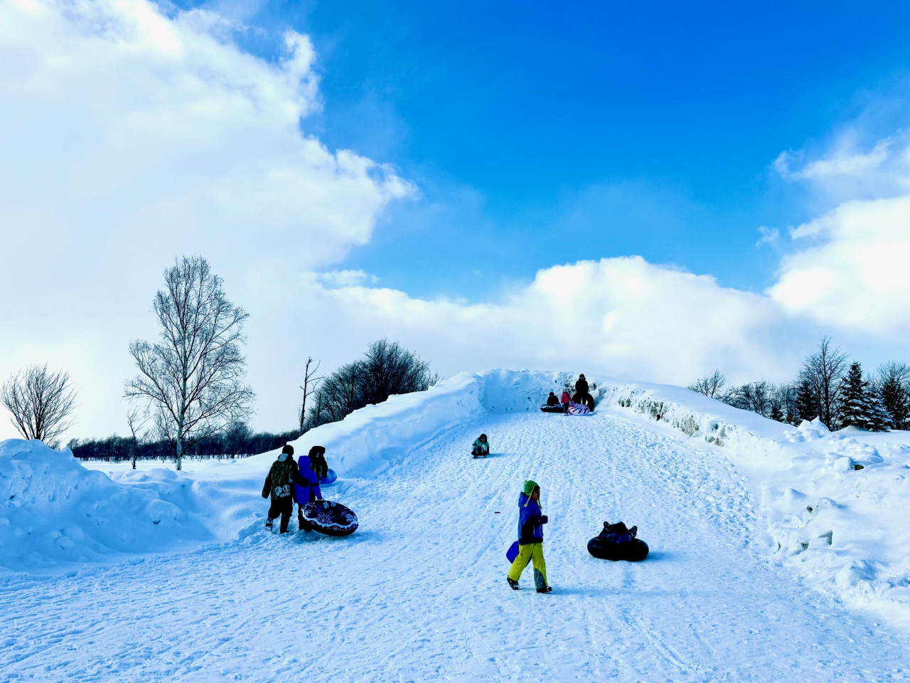 ՒނꗠɁAql̗Vя݉ci\j킩ނ̌ꂽql͖łp܂B